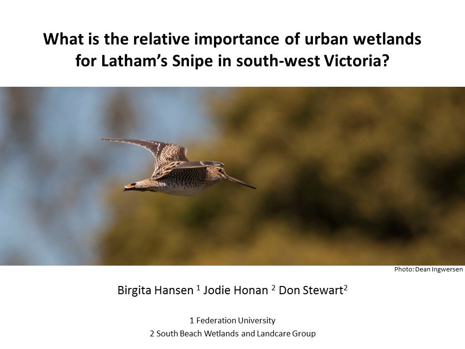 Birgita's talk at the Australasian Ornithological Conference